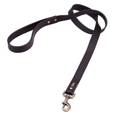 Brown Leather Dog Leash_orig